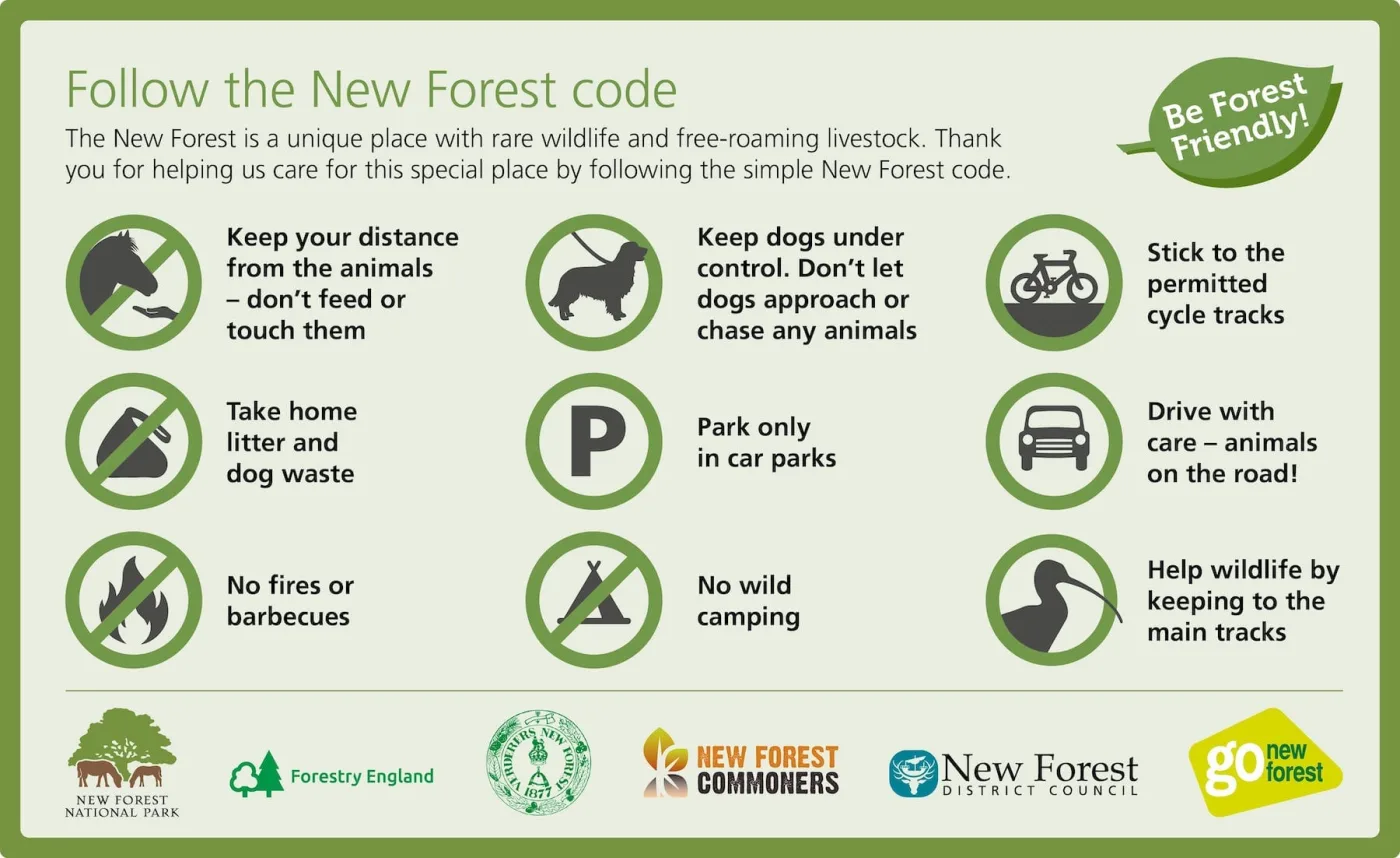 Follow the New Forest Code